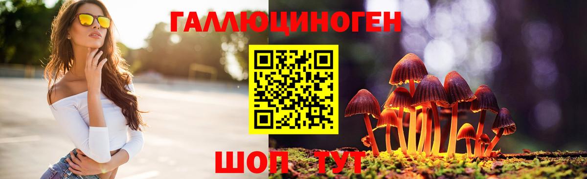 Псилоцибиновые грибы прущие грибы Калач-на-Дону